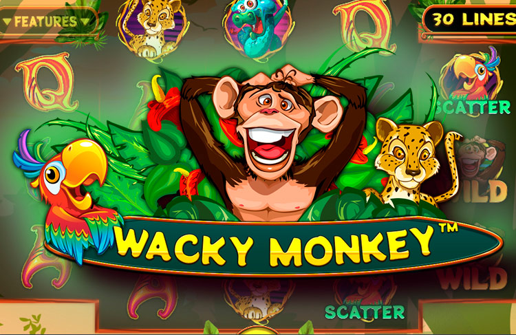 В казино Maxbet мобильная версия эмулятора «Wacky Monkey»